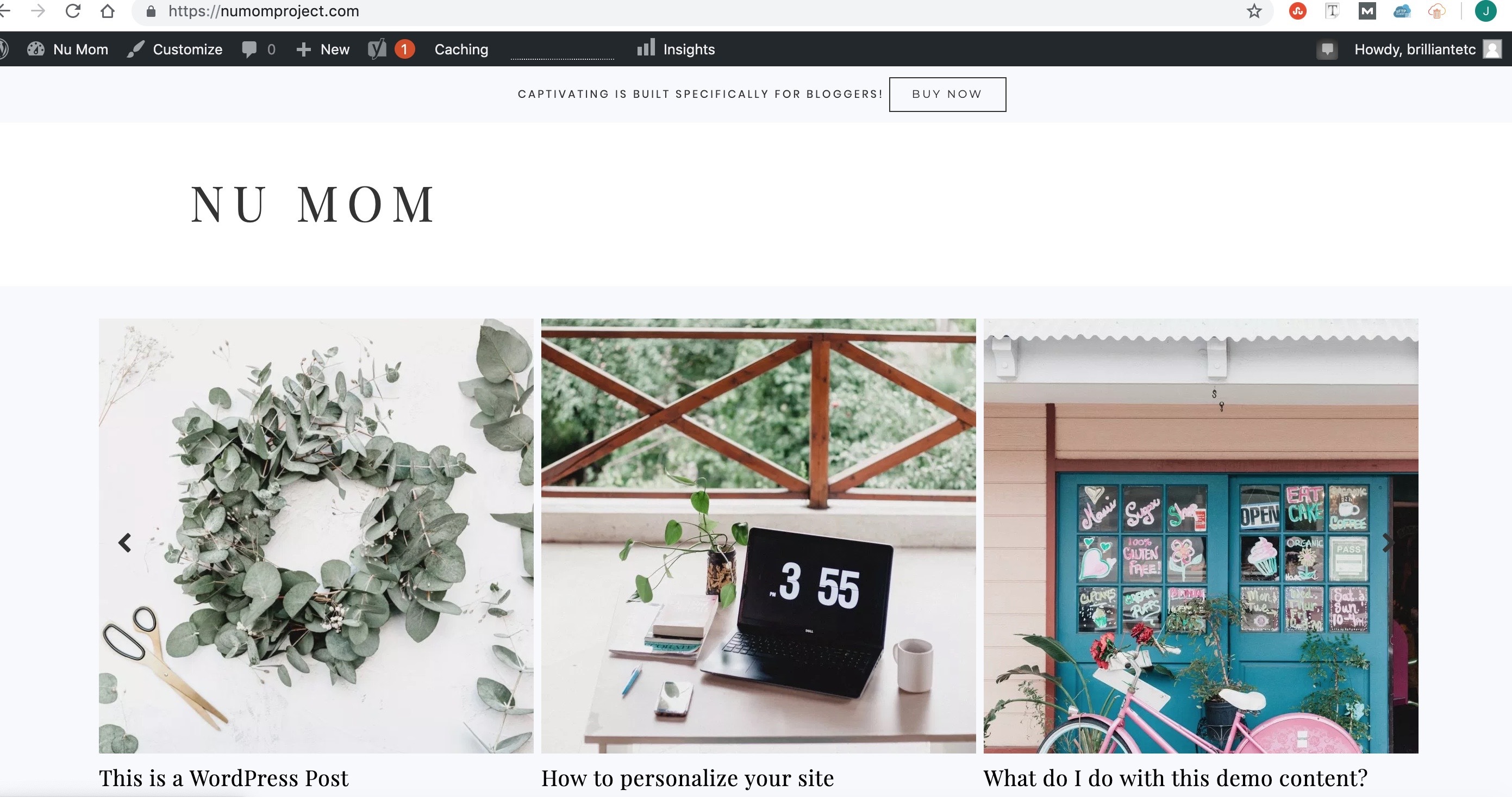 Starting a blog: example Nu Mom Restore 316